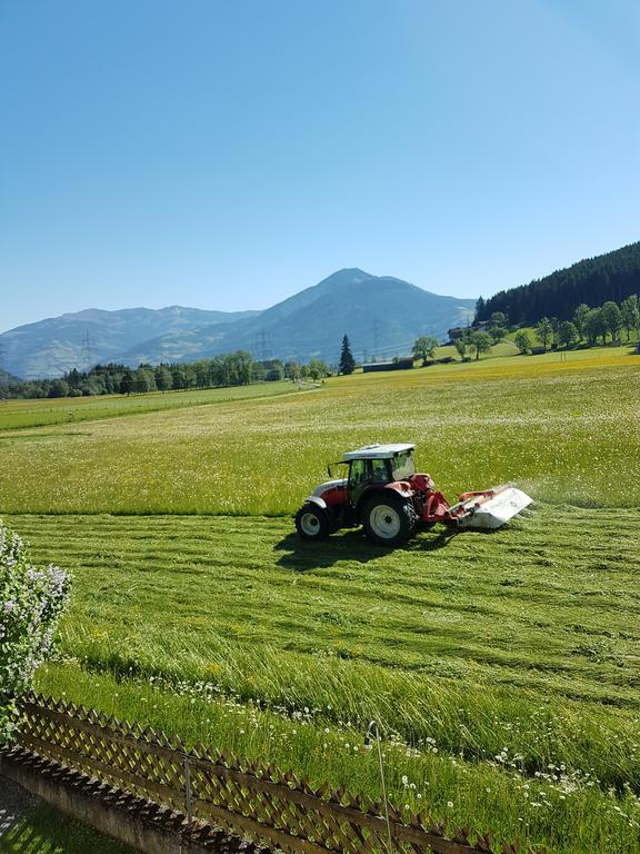 Appartement Reindl 2 Kaprun Dış mekan fotoğraf